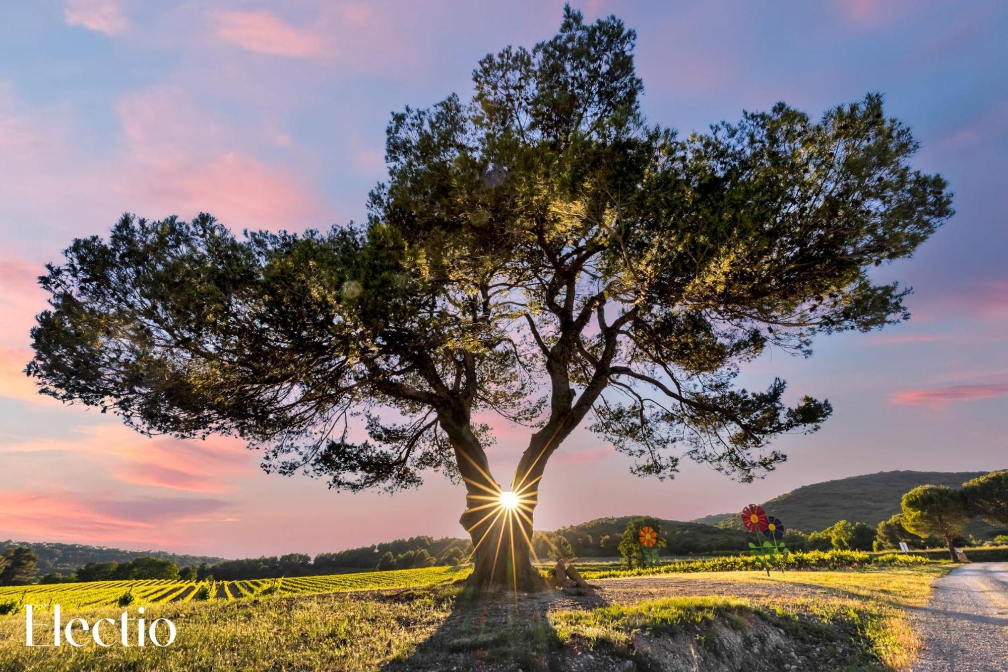 Апарт отель Bastide Domaine Tour Campanets Ле-Пюи-Сент-Репарад Экстерьер фото